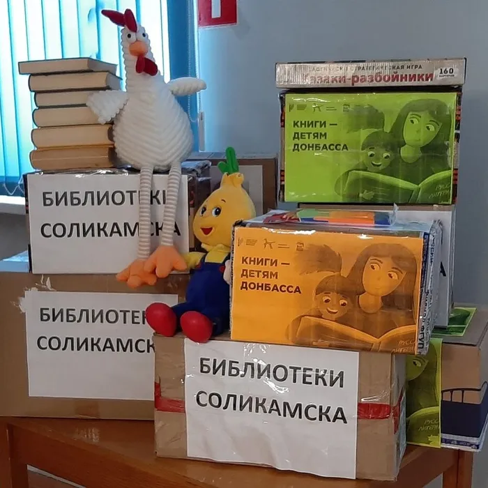 СОЛИКАМЦЫ СОБРАЛИ ДЛЯ ДЕТЕЙ ДОНБАССА СВЫШЕ 200 КНИГ!!!