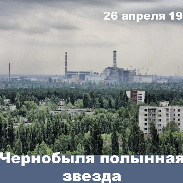 ЧЕРНОБЫЛЯ ПОЛЫННАЯ ЗВЕЗДА
