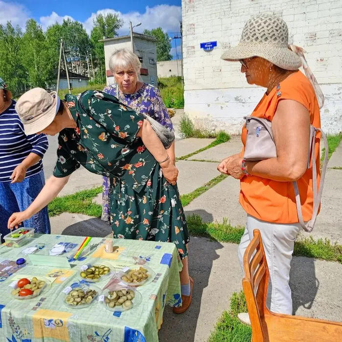 День огурца